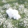 sprite_garden